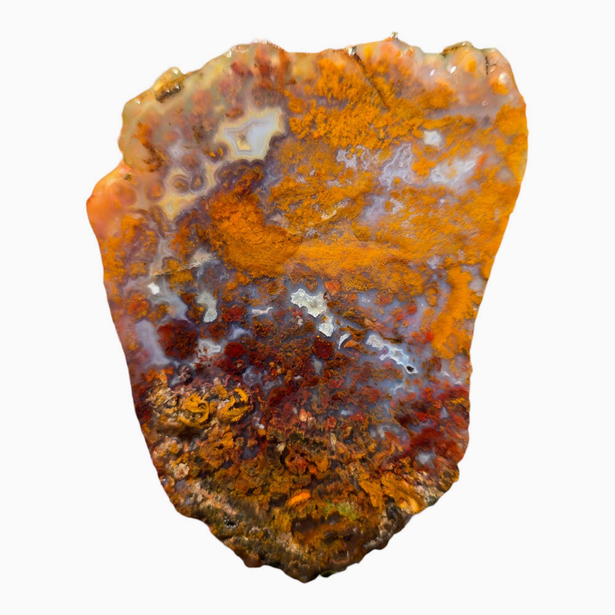 San Carlos Agate Slab Lapidary Stone Slice Cut Rock