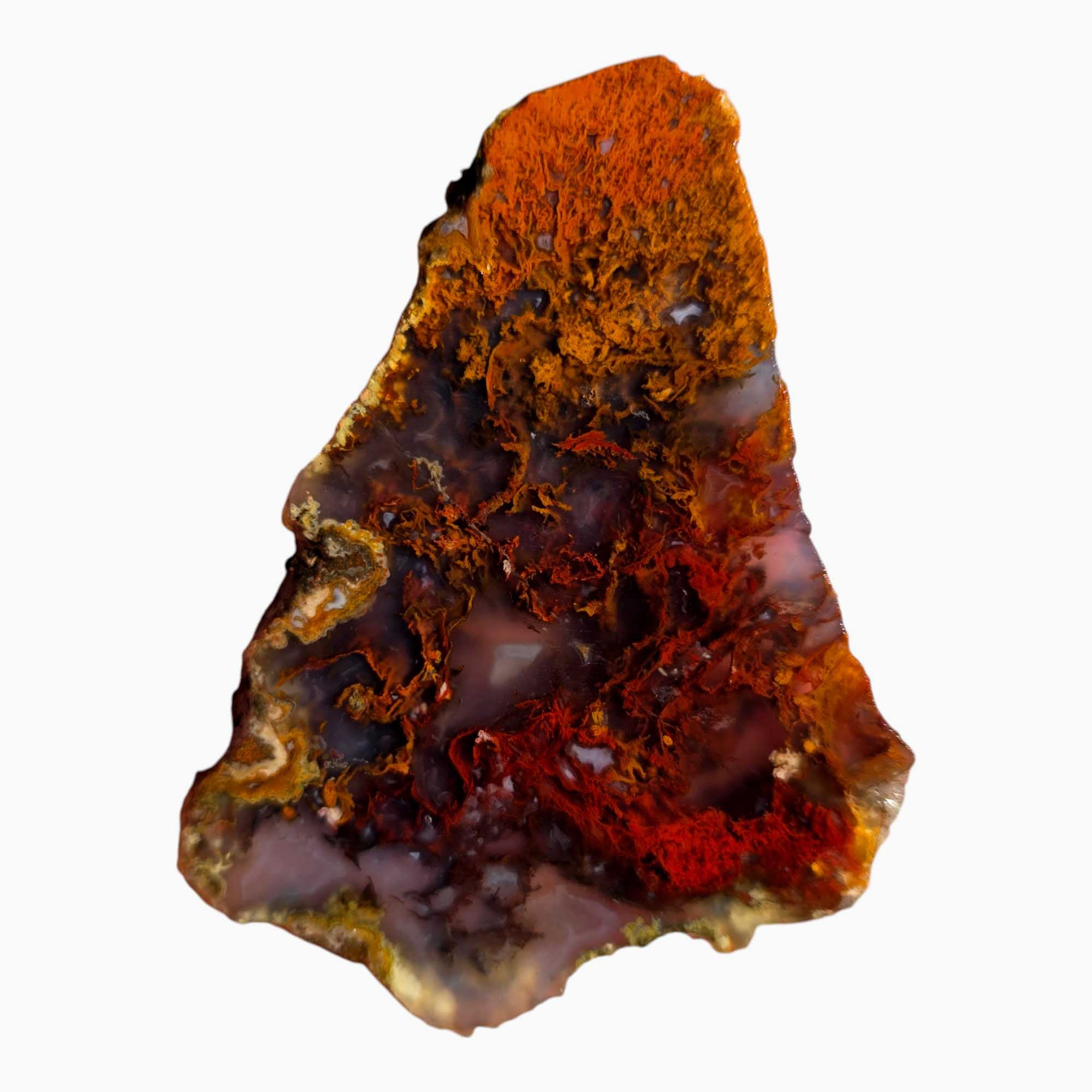 San Carlos Agate Slab Lapidary Stone Slice Cut Rock