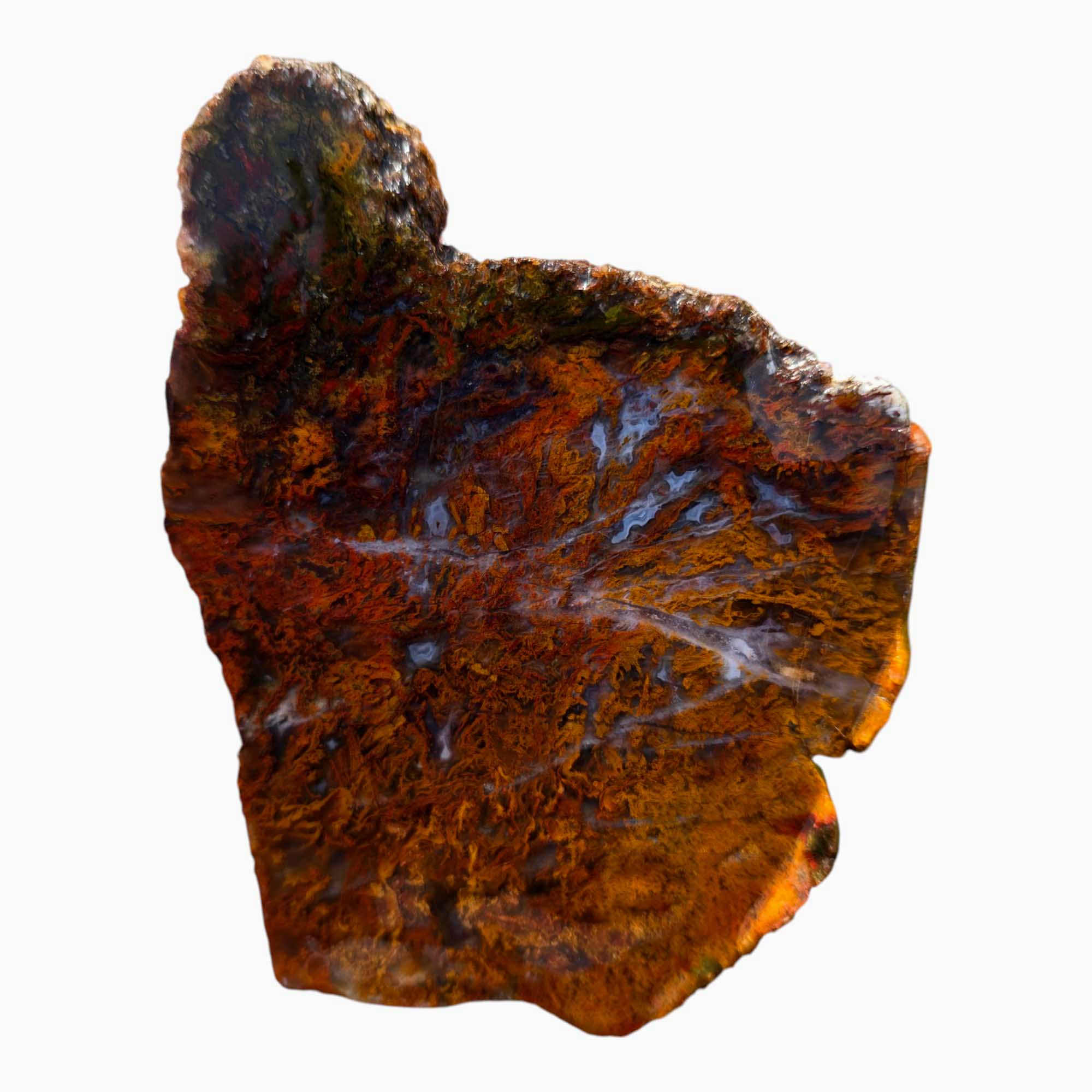 San Carlos Agate Slab Lapidary Stone Slice Cut Rock