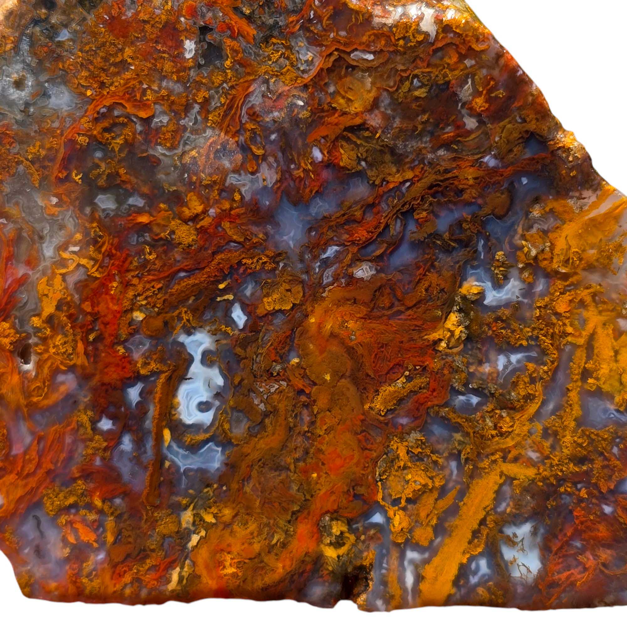 San Carlos Agate Slab Lapidary Stone Slice Cut Rock