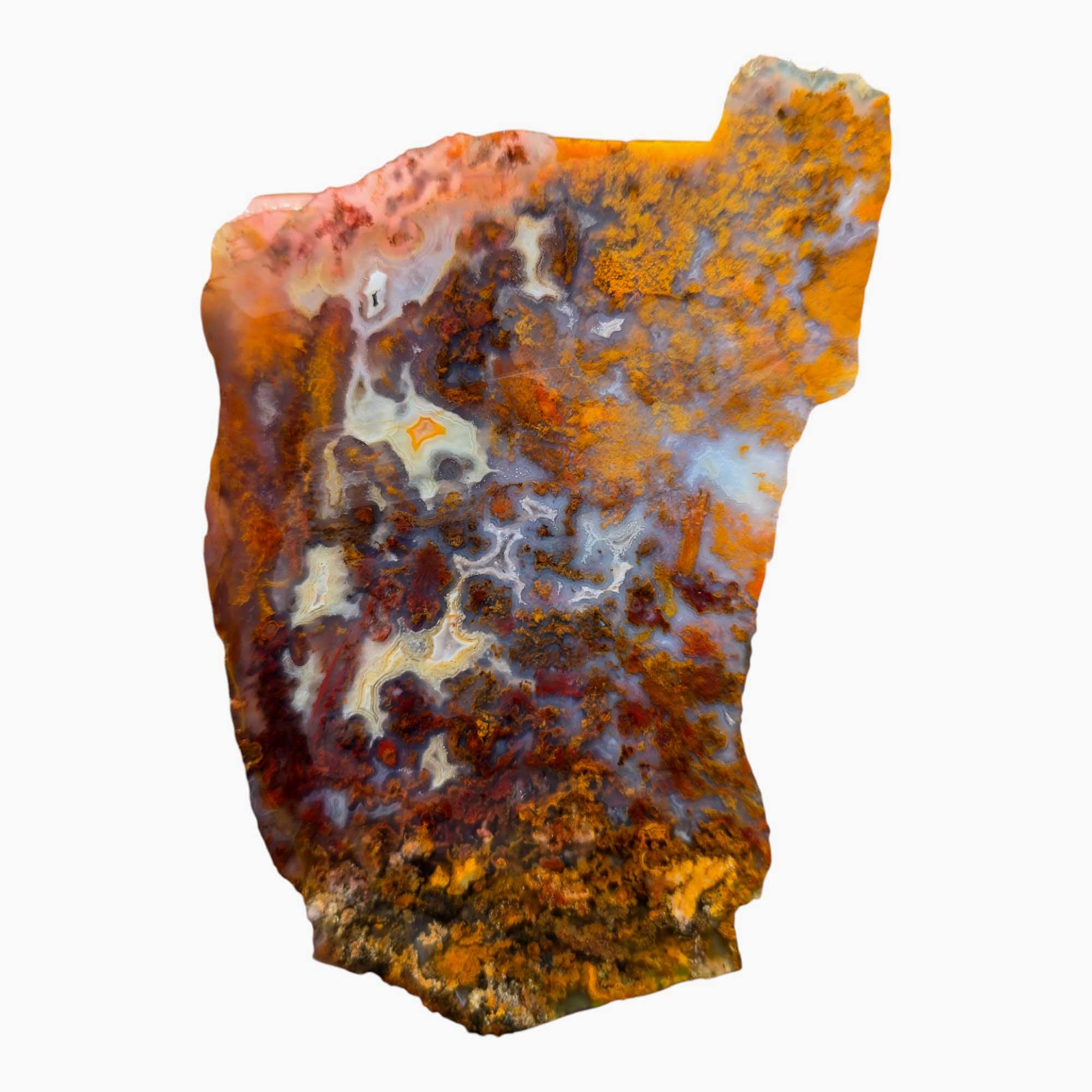 San Carlos Agate Slab Lapidary Stone Slice Cut Rock