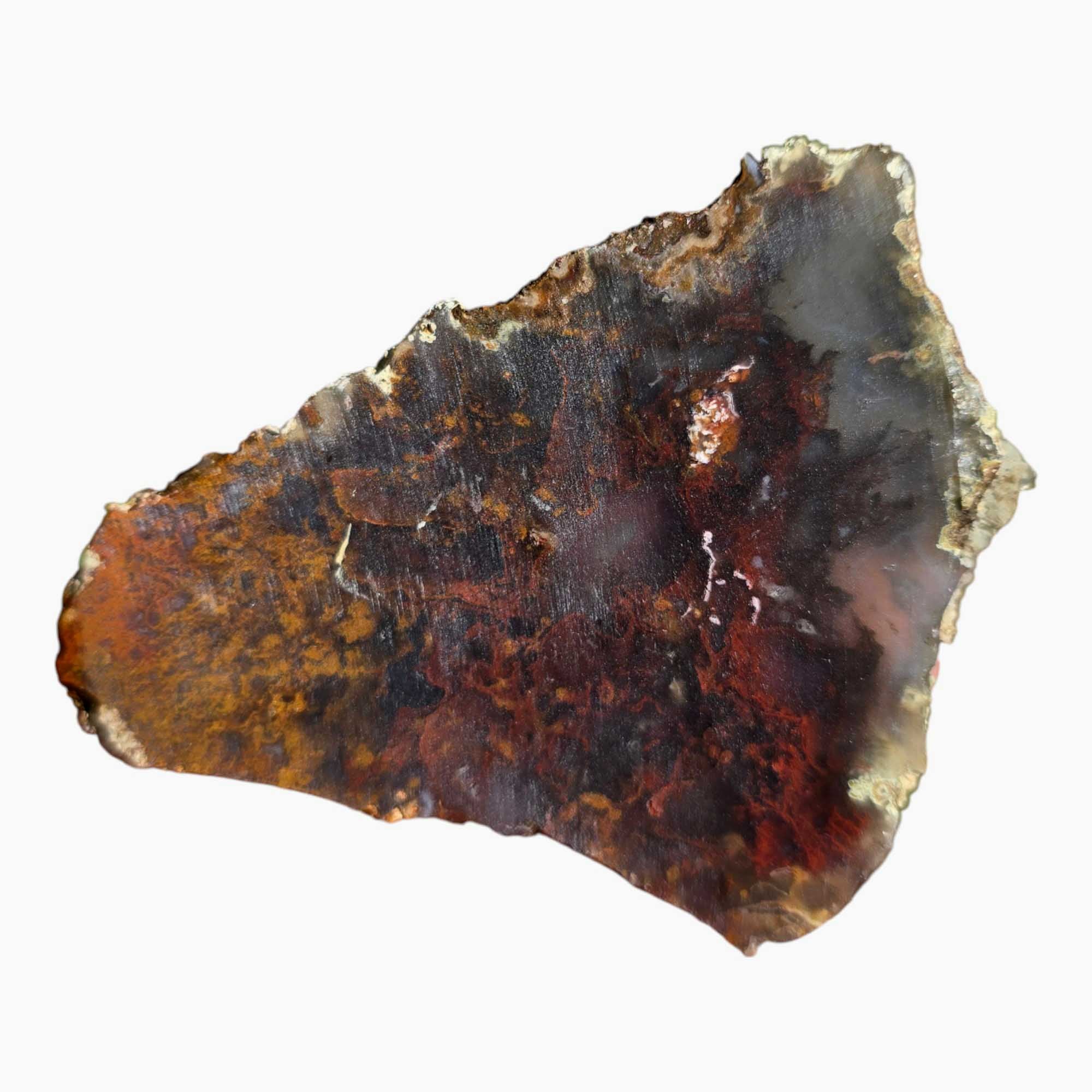 San Carlos Agate Slab Lapidary Stone Slice Cut Rock