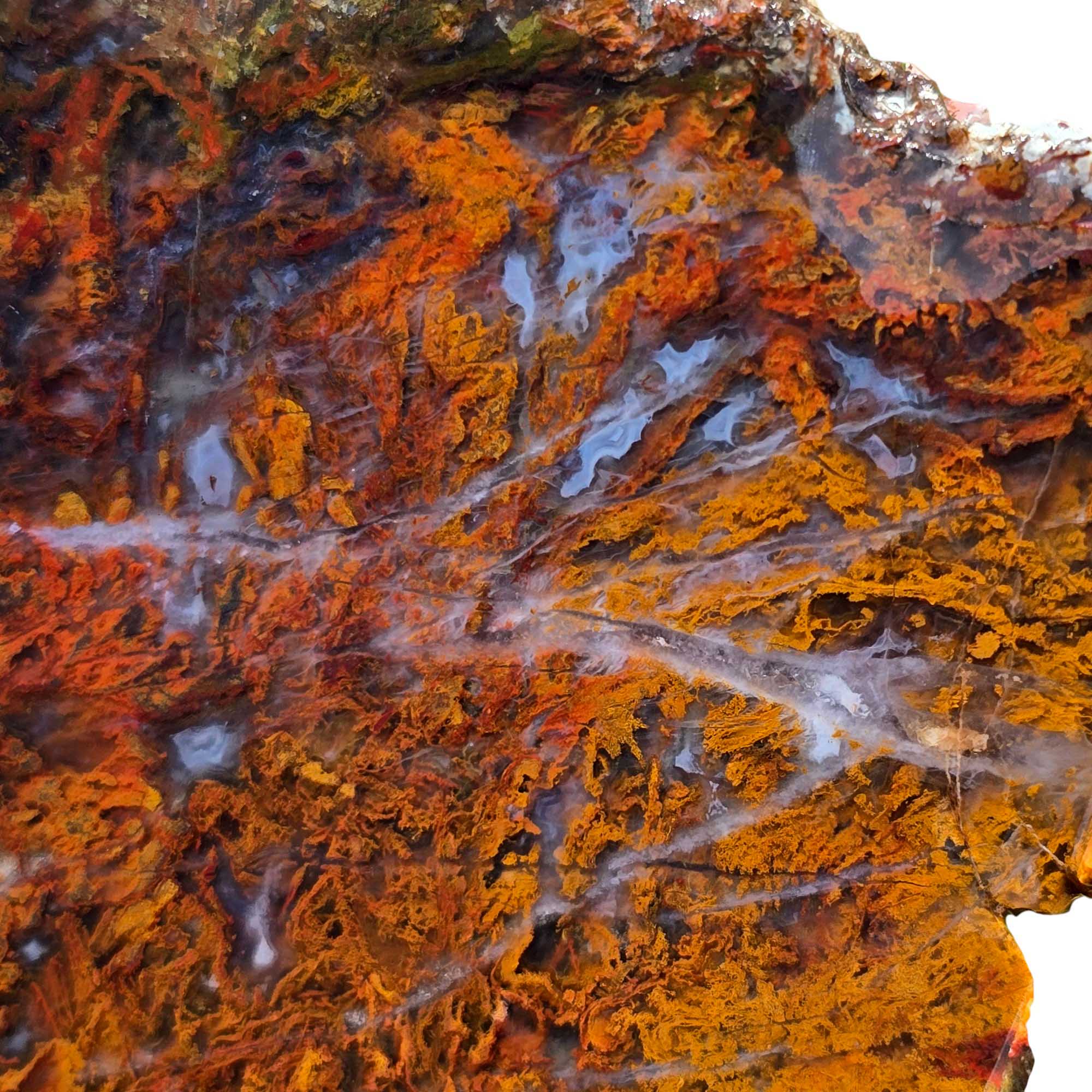 San Carlos Agate Slab Lapidary Stone Slice Cut Rock