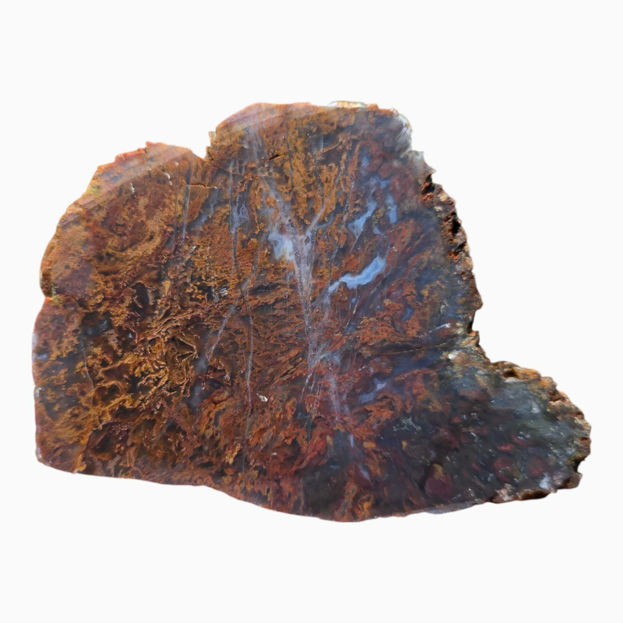 San Carlos Agate Slab Lapidary Stone Slice Cut Rock