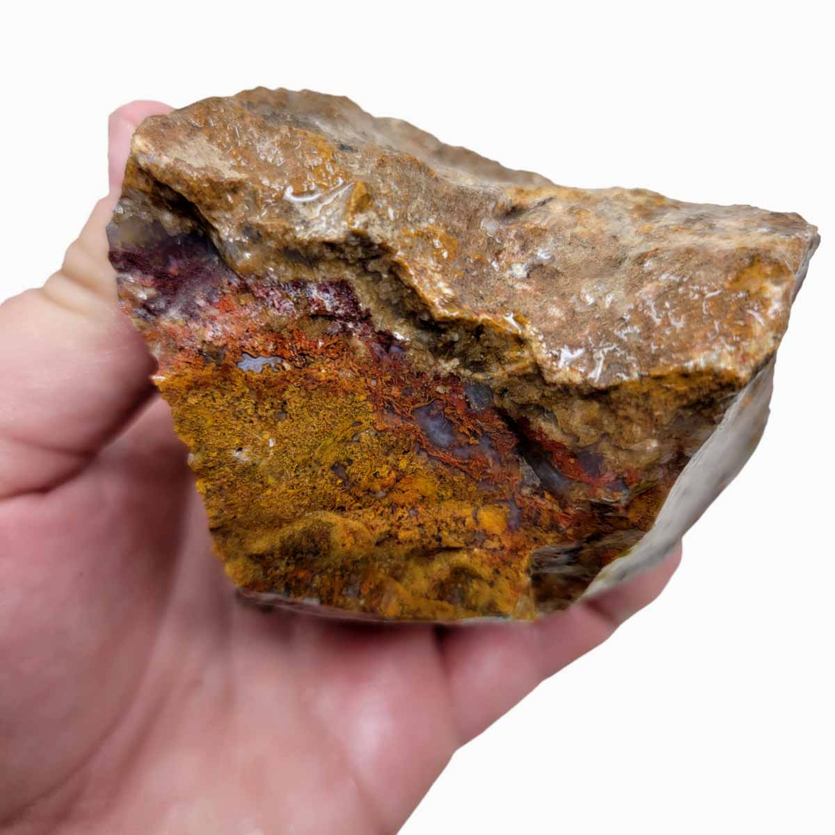 San Carlos Moss Agate Rough Chunk!