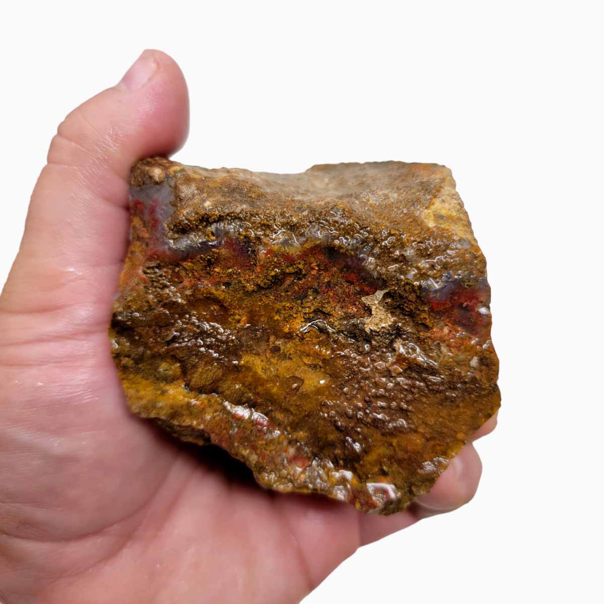 San Carlos Moss Agate Rough Chunk!