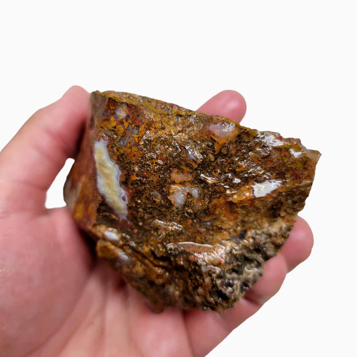 San Carlos Moss Agate Rough Chunk!