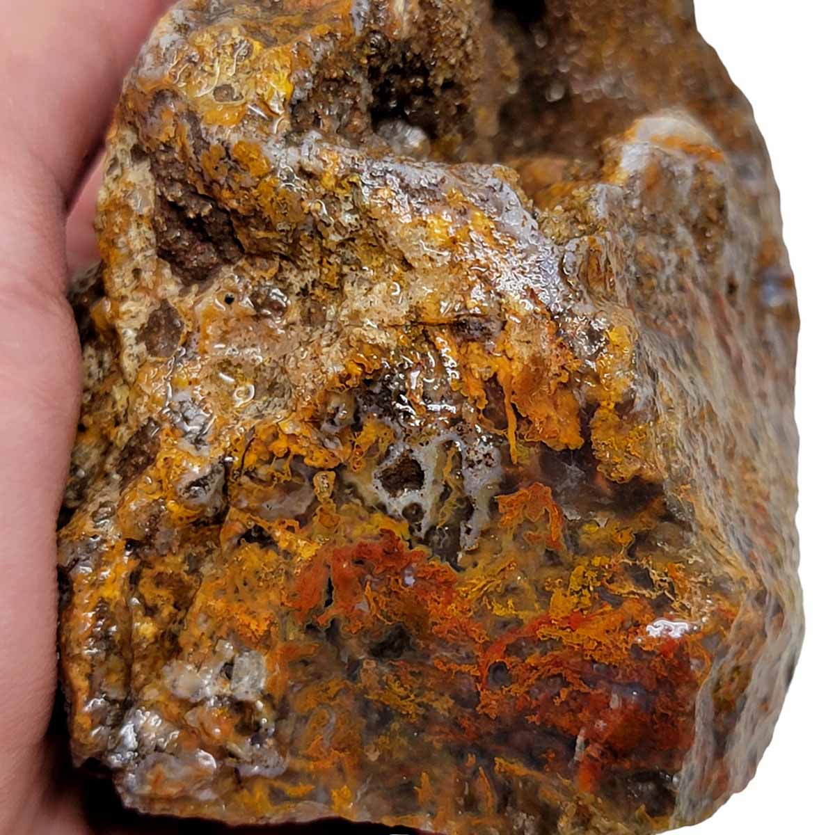 San Carlos Moss Agate Rough Chunk!