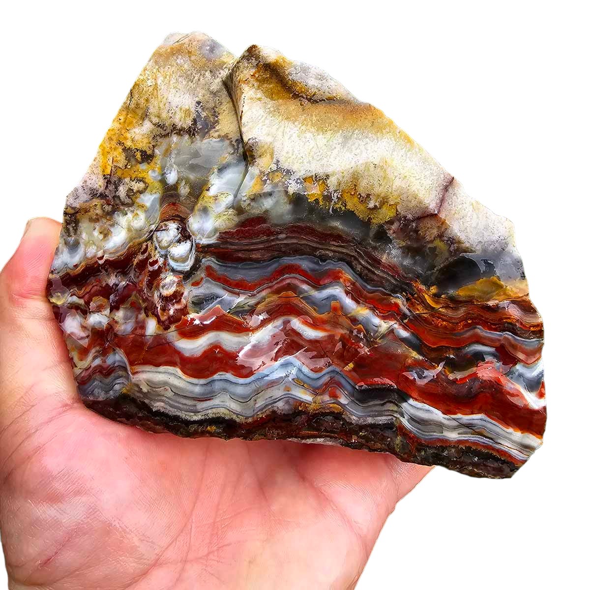 Sarape Jasper Crazy Lace Relative Rough Chunk!