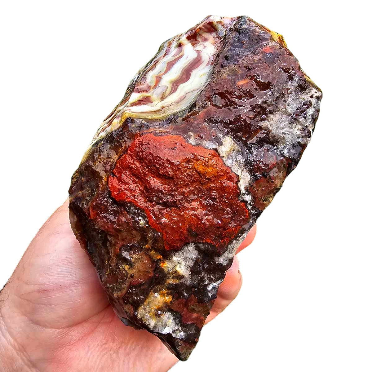 Sarape Jasper Crazy Lace Relative Rough Chunk!