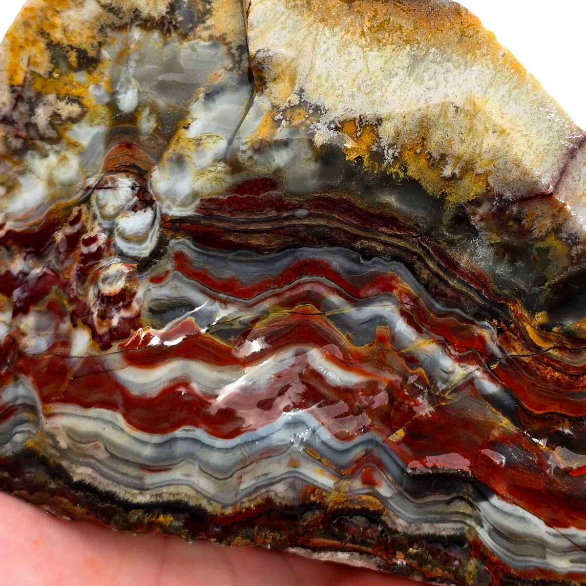 Sarape Jasper Crazy Lace Relative Rough Chunk!