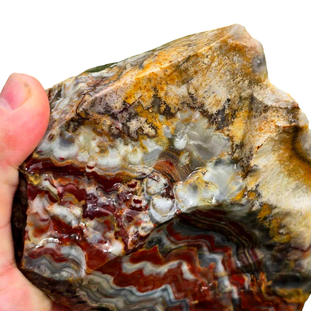 Sarape Jasper Crazy Lace Relative Rough Chunk!