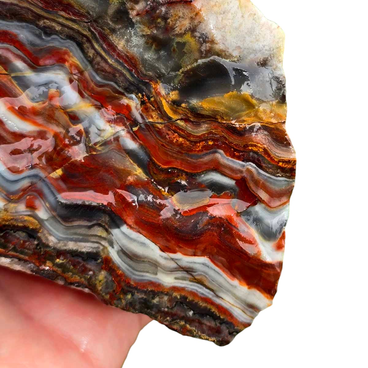 Sarape Jasper Crazy Lace Relative Rough Chunk!