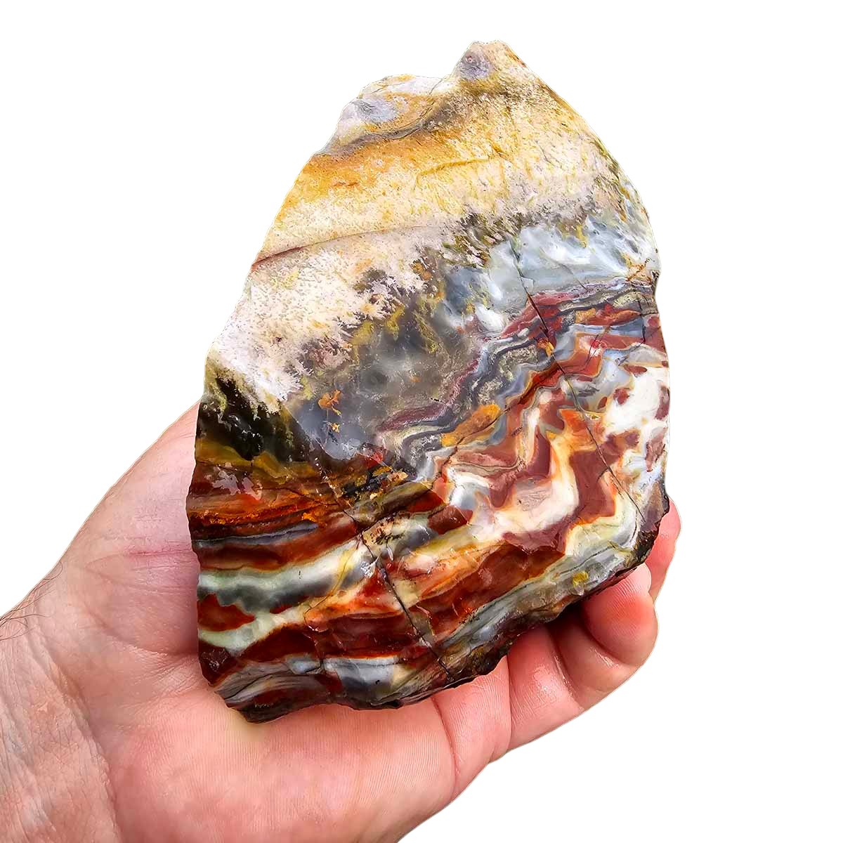 Sarape Jasper Crazy Lace Relative Rough Chunk!