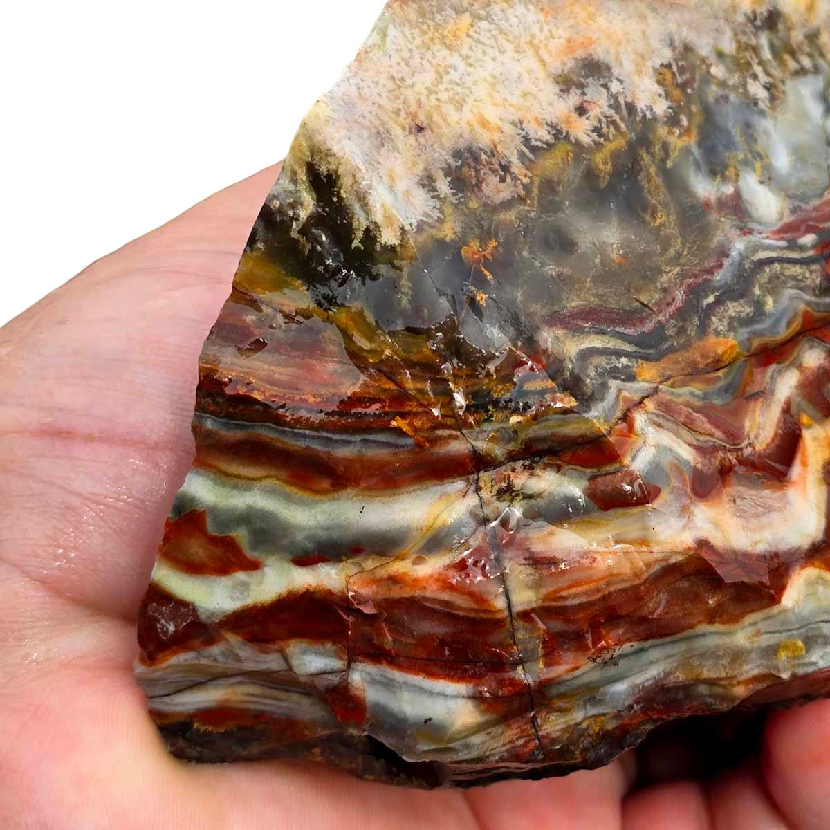 Sarape Jasper Crazy Lace Relative Rough Chunk!