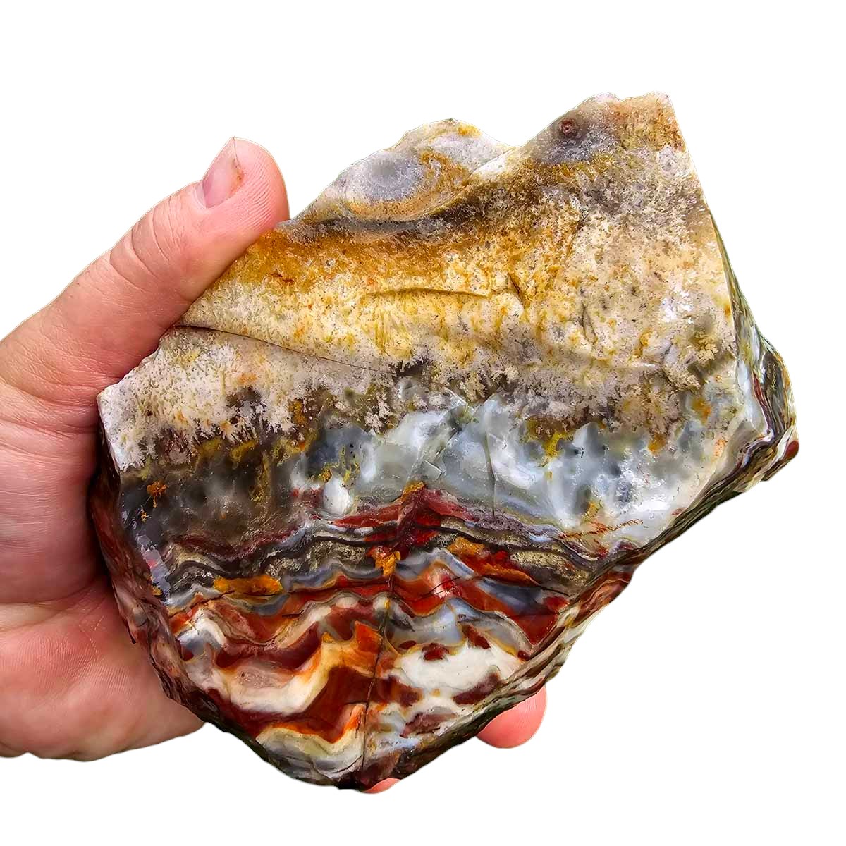 Sarape Jasper Crazy Lace Relative Rough Chunk!