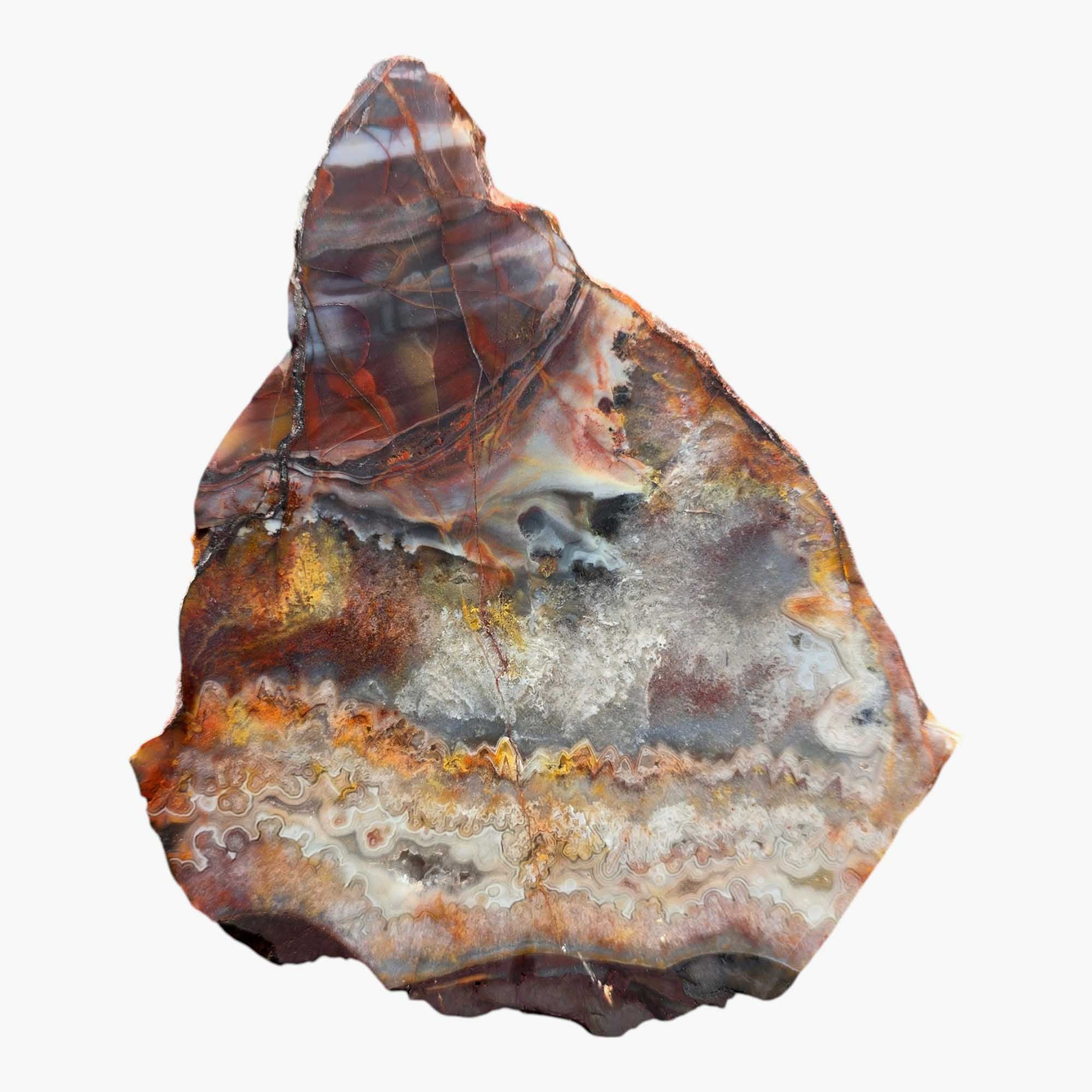 Sarape Jasper Slab Crazy Lace Relative Lapidary Stone Slice Cut Rock