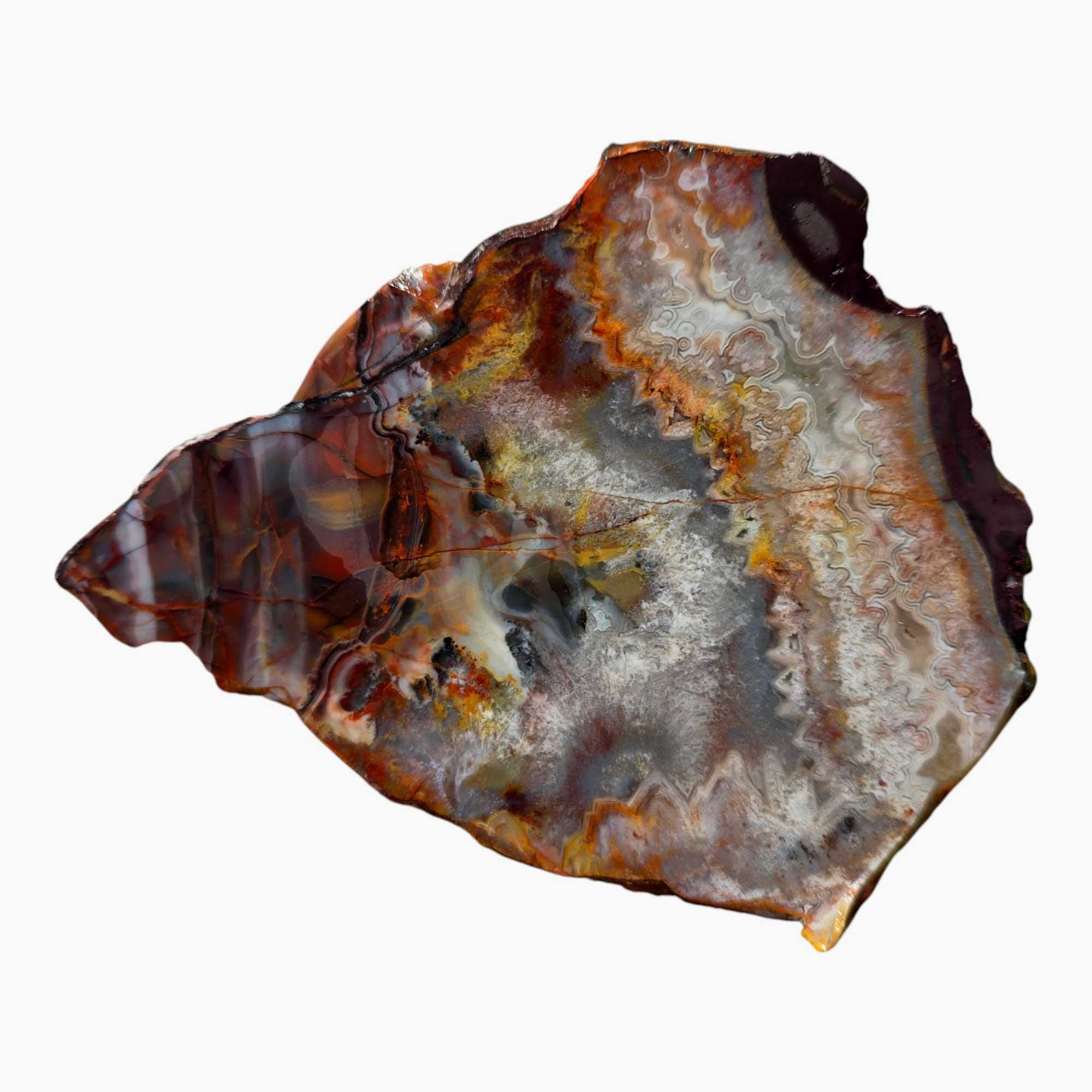 Sarape Jasper Slab Crazy Lace Relative Lapidary Stone Slice Cut Rock