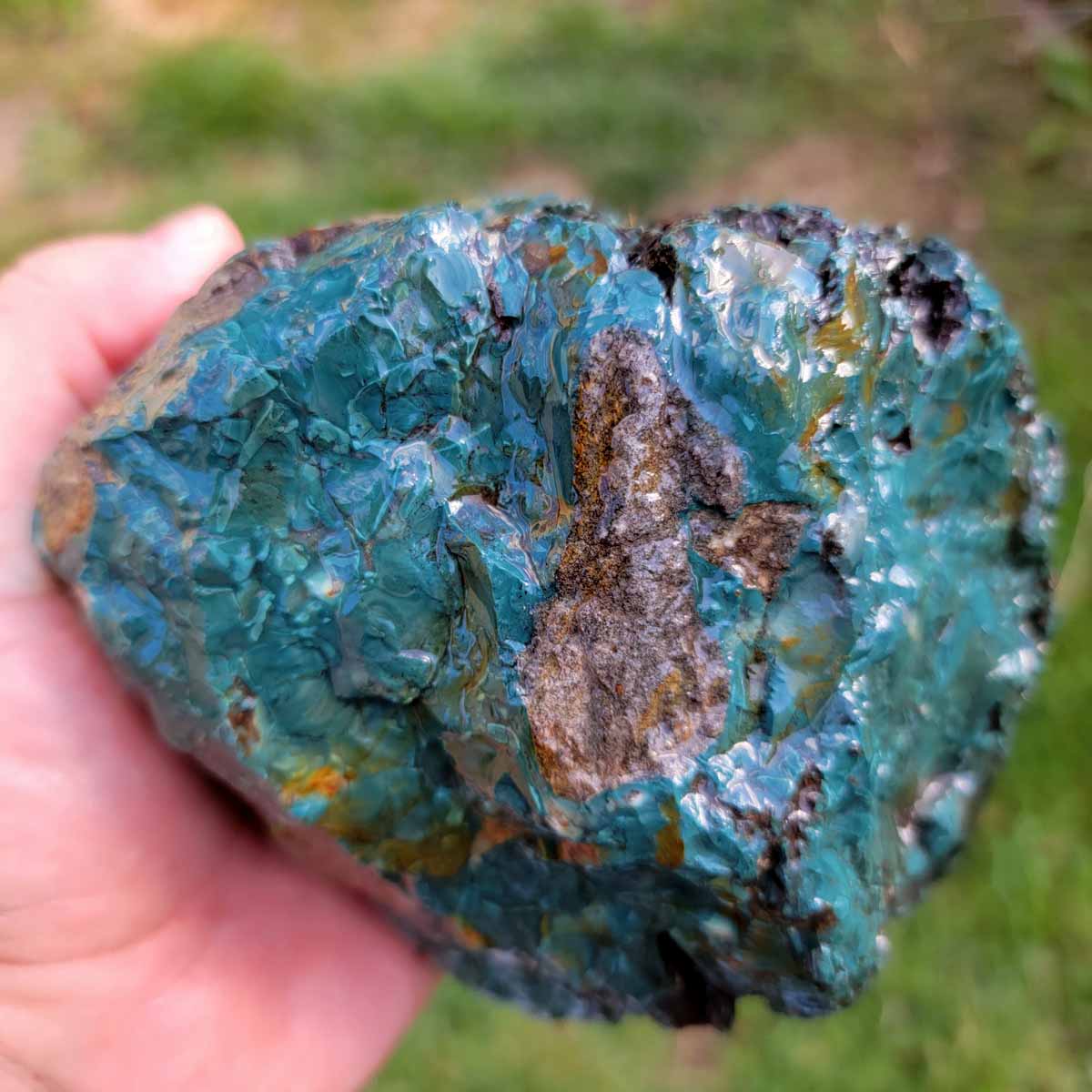 Oregon Skaggs Jasper Rough Chunk!