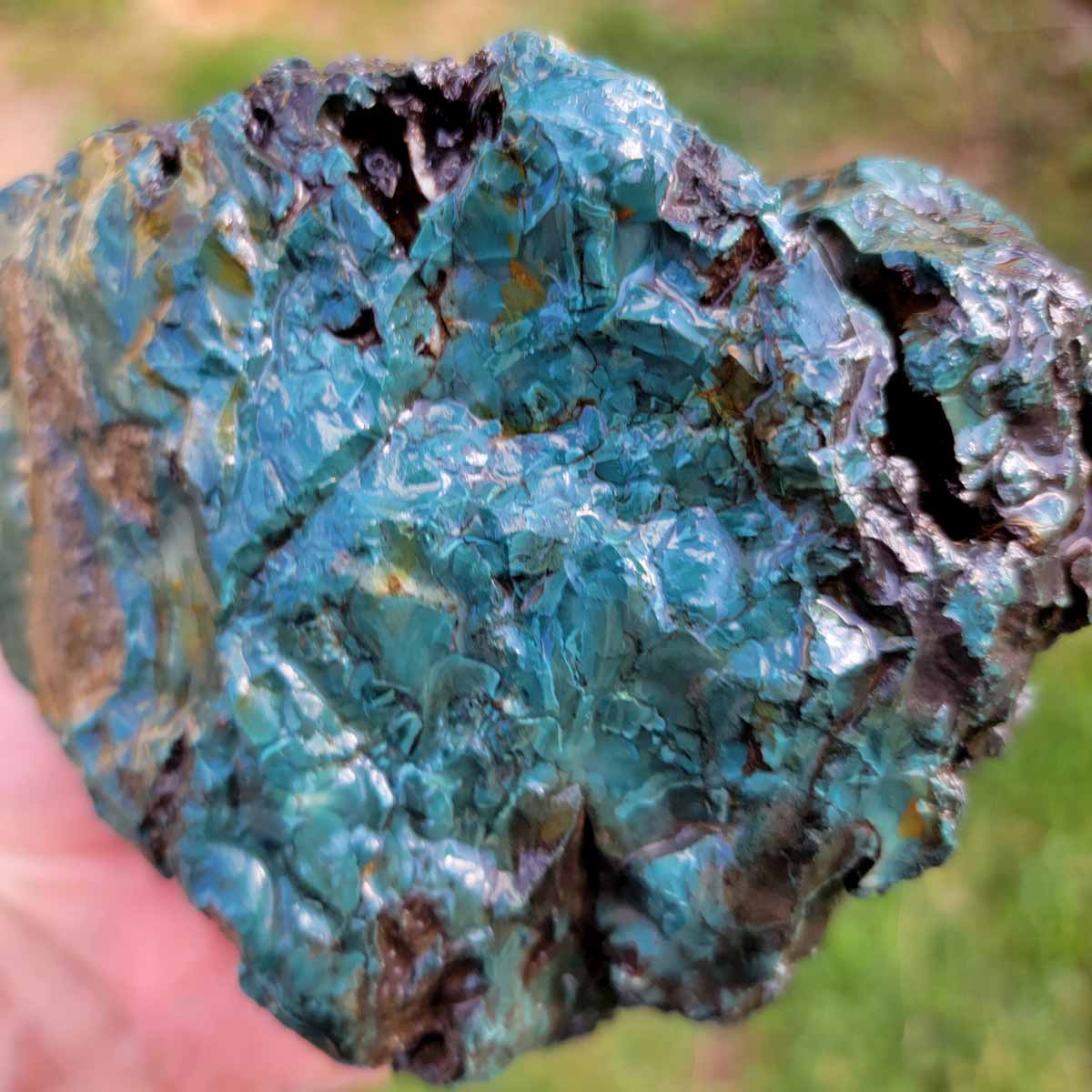 Oregon Skaggs Jasper Rough Chunk!