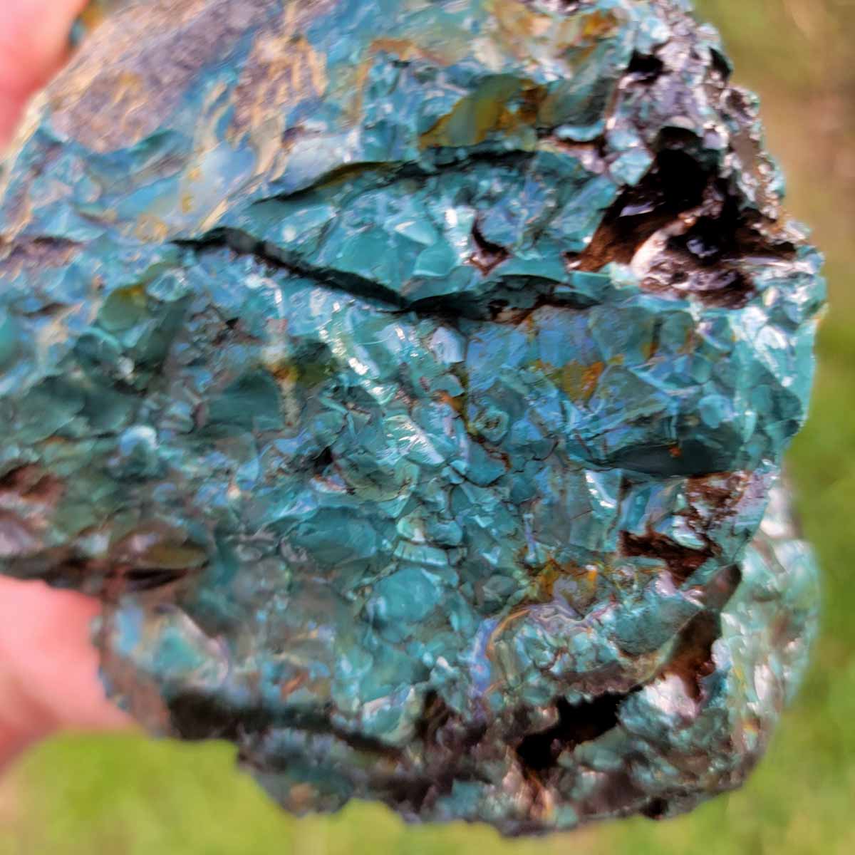 Oregon Skaggs Jasper Rough Chunk!