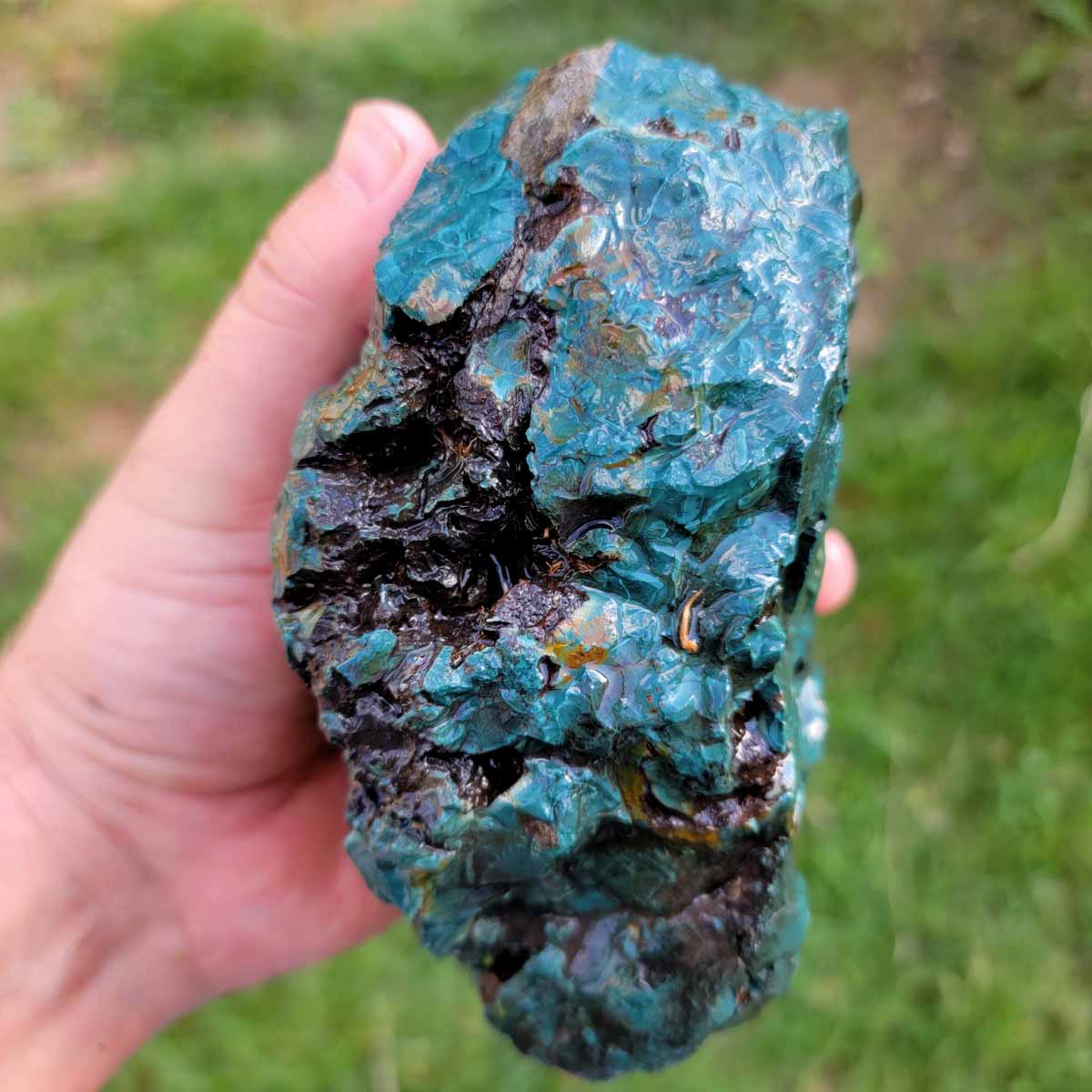 Oregon Skaggs Jasper Rough Chunk!