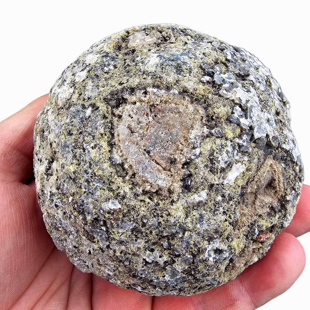 The Rough Geode Random Pull Solid Coconut Geode Rough Solid Thunder Eggs