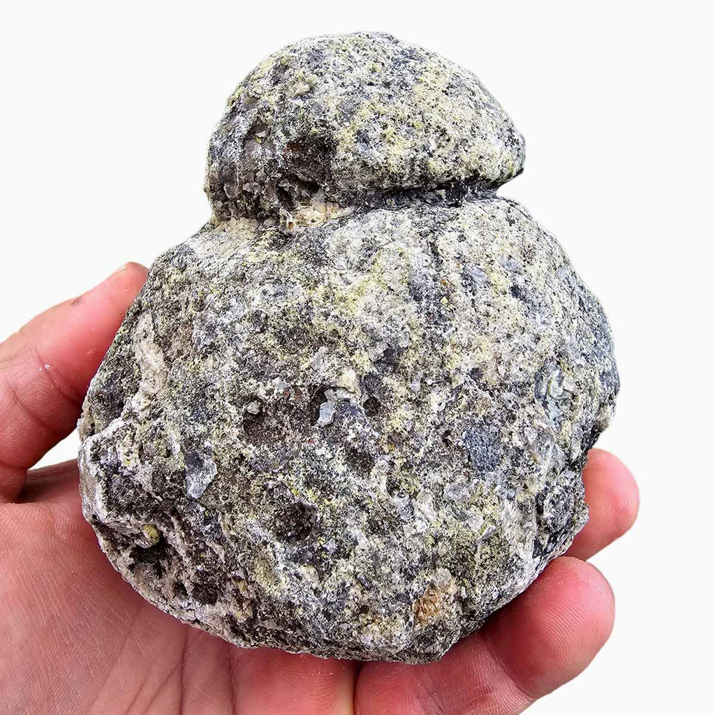 The Rough Geode Random Pull Solid Coconut Geode Rough Solid Thunder Eggs
