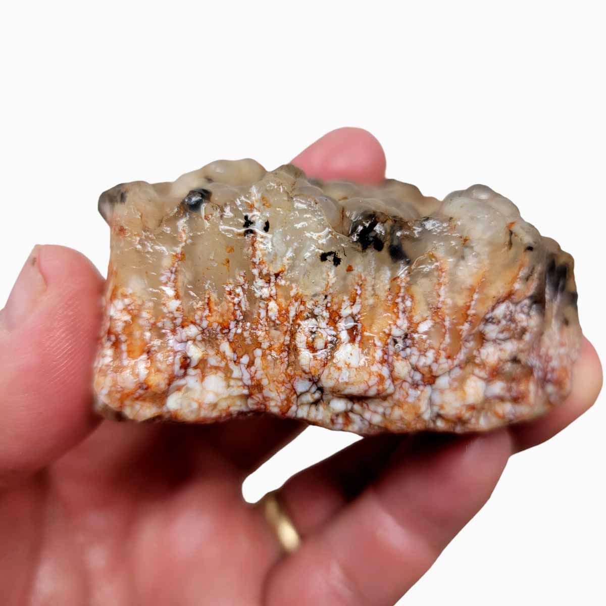 Stinking Water Plume Agate Angel Wing Rough Chunk!