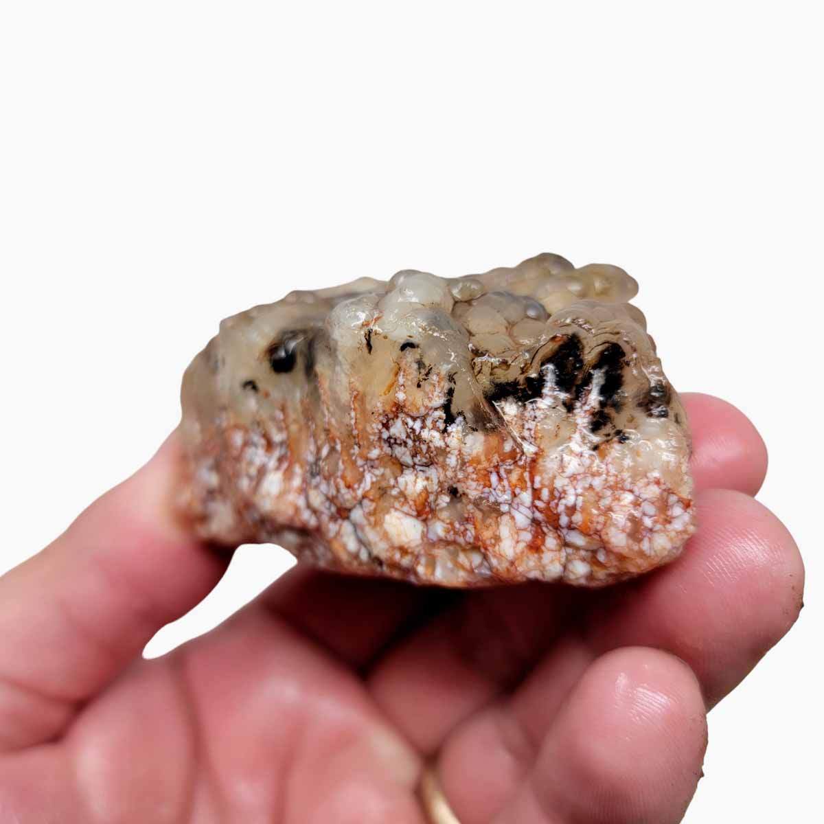 Stinking Water Plume Agate Angel Wing Rough Chunk!