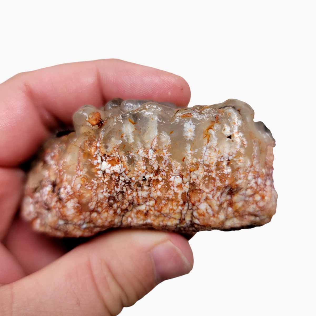 Stinking Water Plume Agate Angel Wing Rough Chunk!