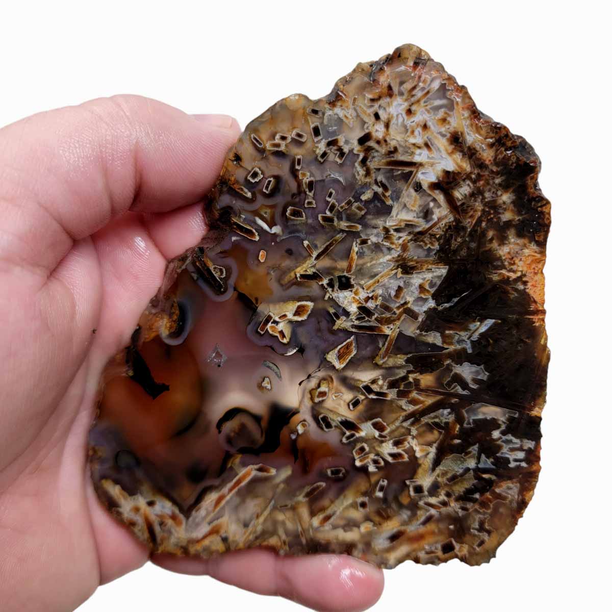 Turkish Stick Agate Slab!  Lapidary Stone Slab!