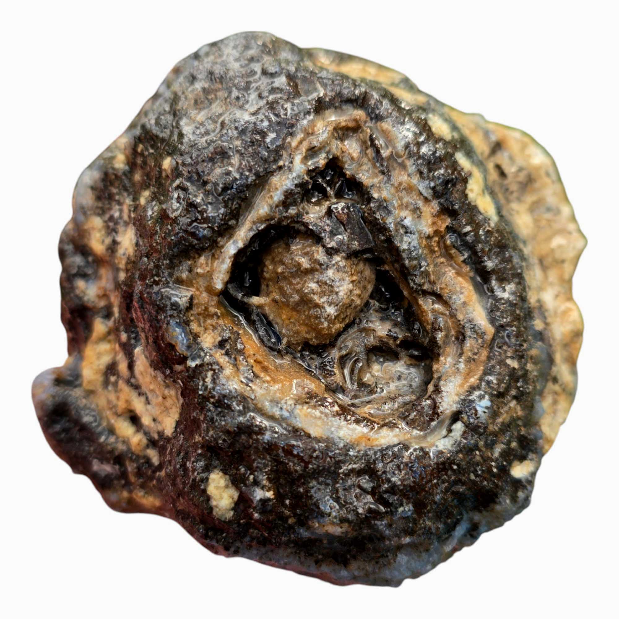 Solid Coconut Geode Agate Lapidary Cutting Rough Chunk