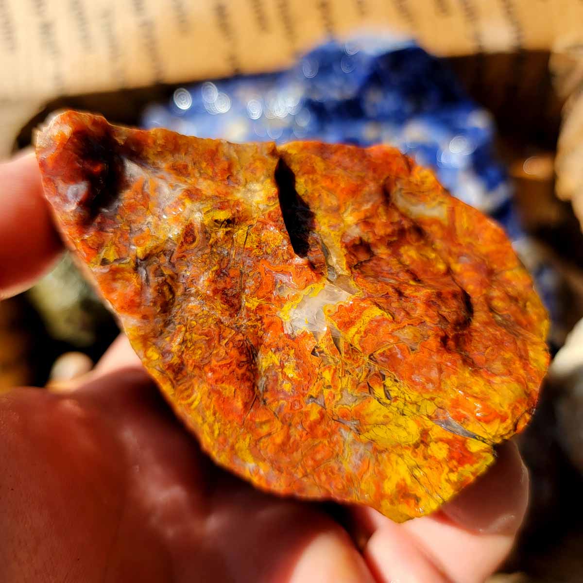 Agate Jasper Mix Cutting Rough Flatrate!