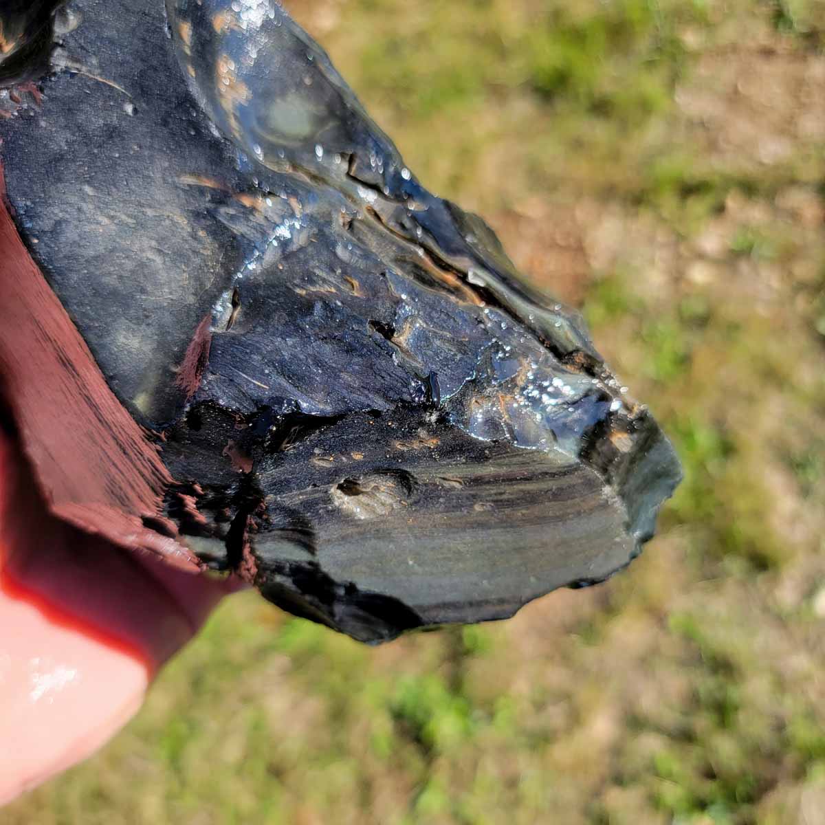 Highgrade Mexican Velvet Obsidian Rough Chunk!