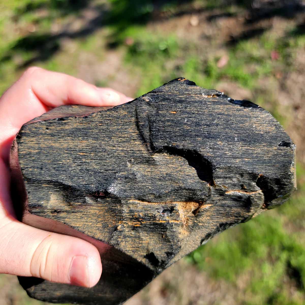 Highgrade Mexican Velvet Obsidian Rough Chunk!