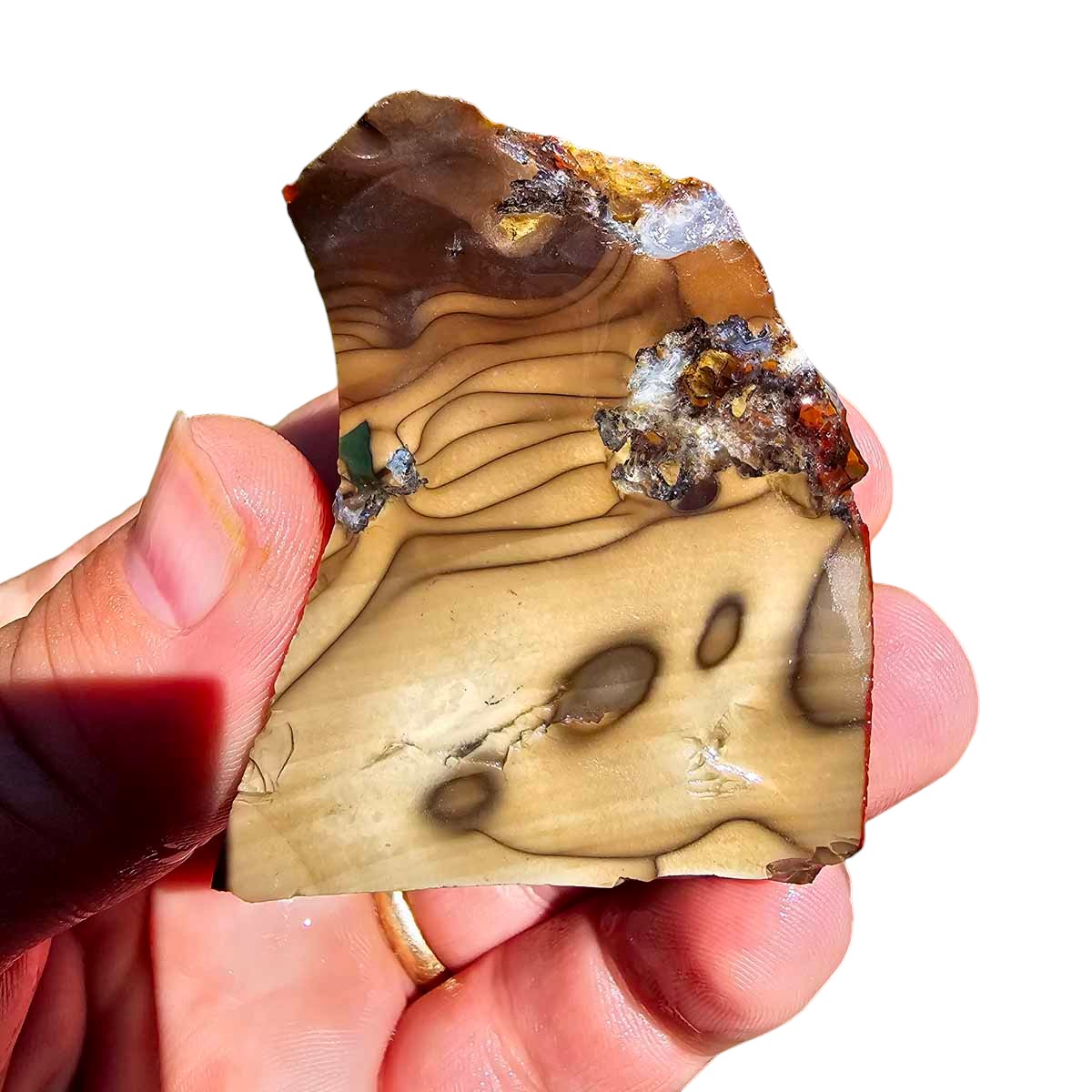 Orbicular Whisky Creek Jasper Rough Chunk!  RARE!