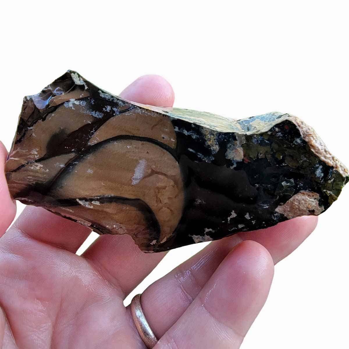 Orbicular Whisky Creek Jasper Rough Chunk!  RARE!