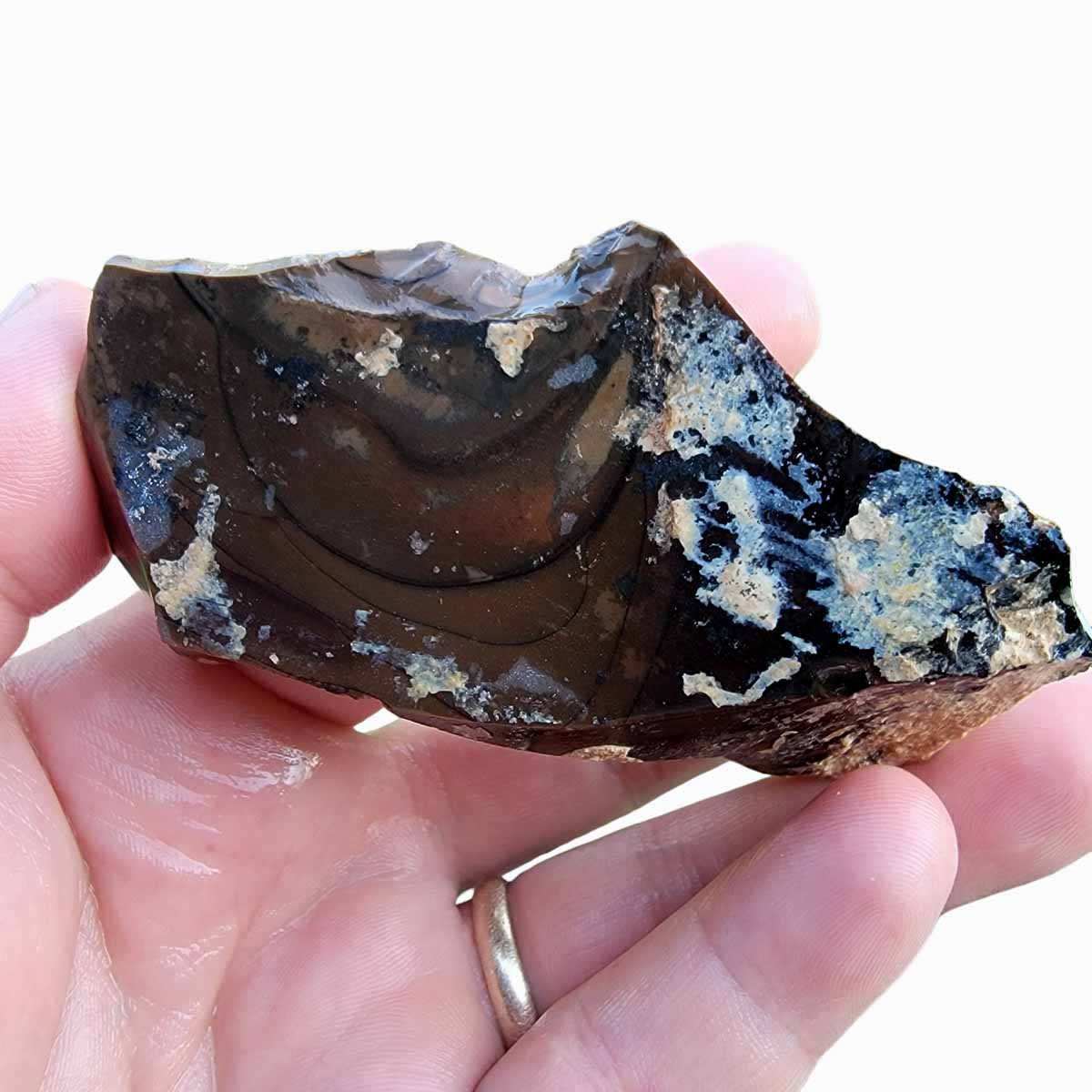 Orbicular Whisky Creek Jasper Rough Chunk!  RARE!