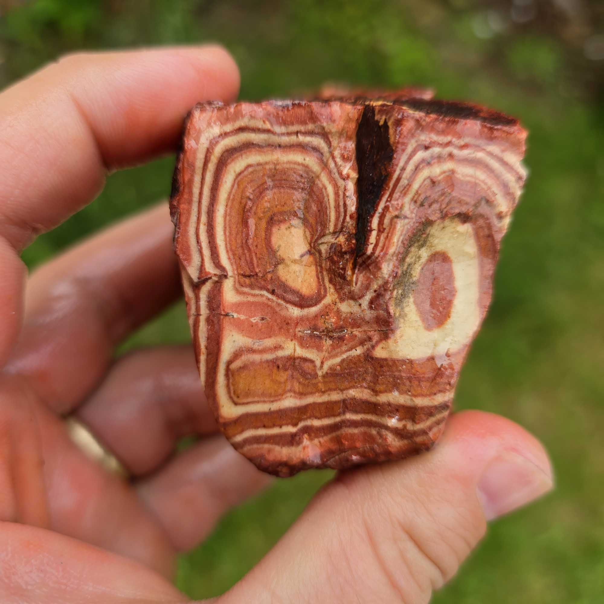High-Grade Wonderstone Jasper Cutting Rough Flatrate Lapidary Stone