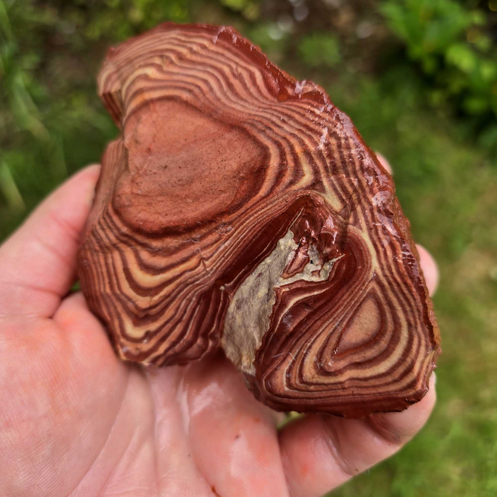 High-Grade Wonderstone Jasper Cutting Rough Flatrate Lapidary Stone