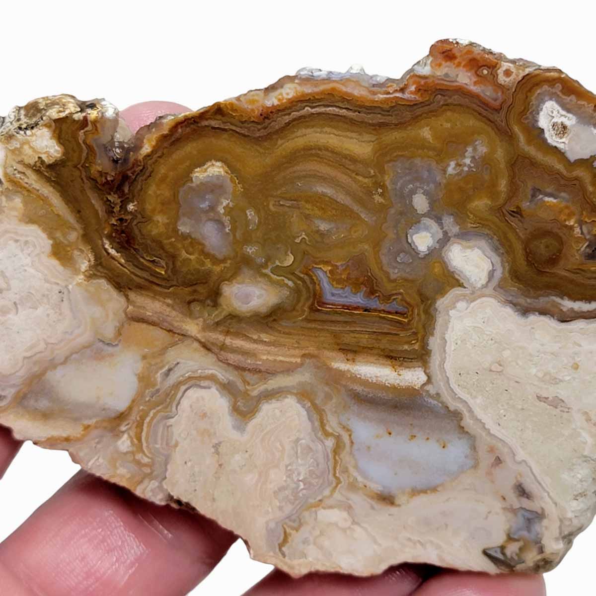 Lysite Agate Wyoming Blizzard Stone Slab!  Lapidary Stone Slab!