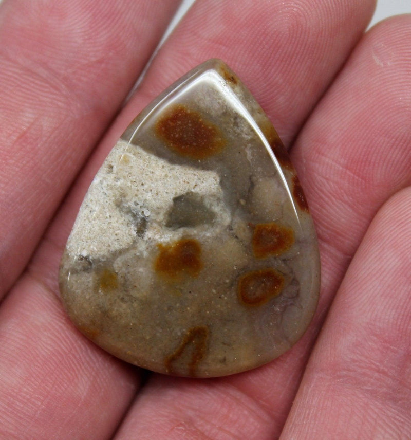 Jasper - Agate Cabochon!  Lapidary Stone Cab! - LapidaryCentral