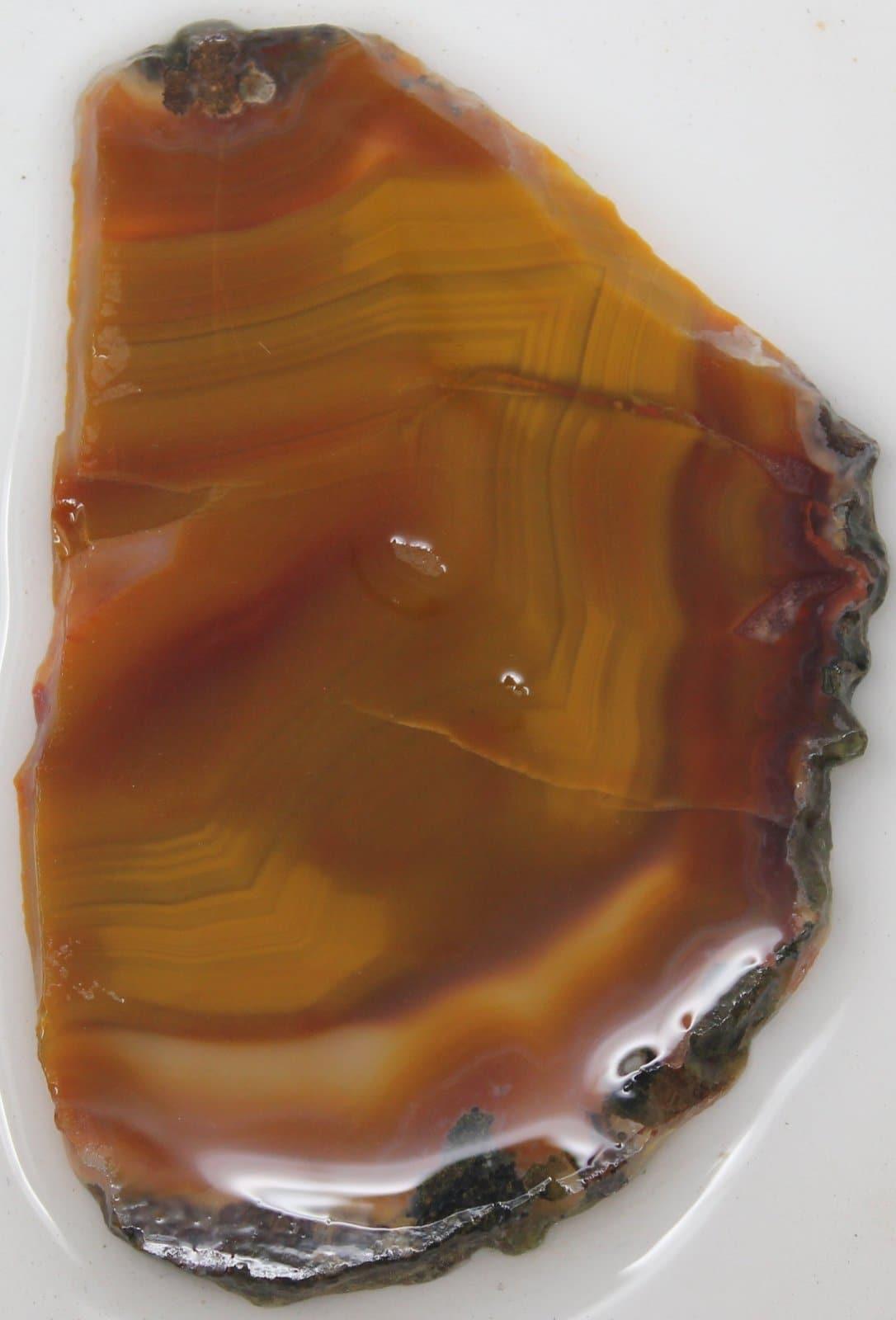 Agua Nueva Fortification Agate Slab! Mexican Agate! Lapidary Stone Slab! - LapidaryCentral