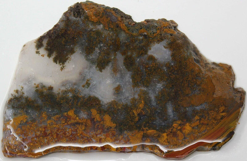 Apple Valley Agate Slab! Moroccan Agate! Agate from Morocco! - LapidaryCentral
