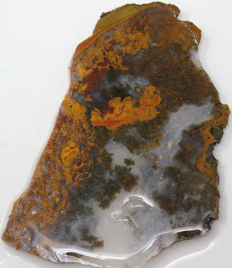 Apple Valley Agate Slab! Moroccan Agate! Agate from Morocco! - LapidaryCentral