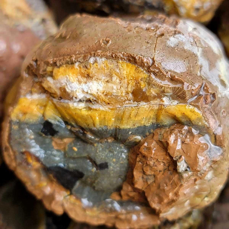Old Stock Oregon Thunderegg Rough Flatrate Box! - LapidaryCentral