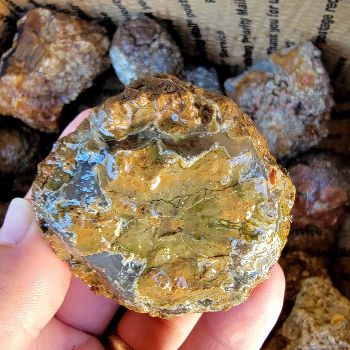 Old Stock Oregon Thunderegg Rough Flatrate Box! - LapidaryCentral