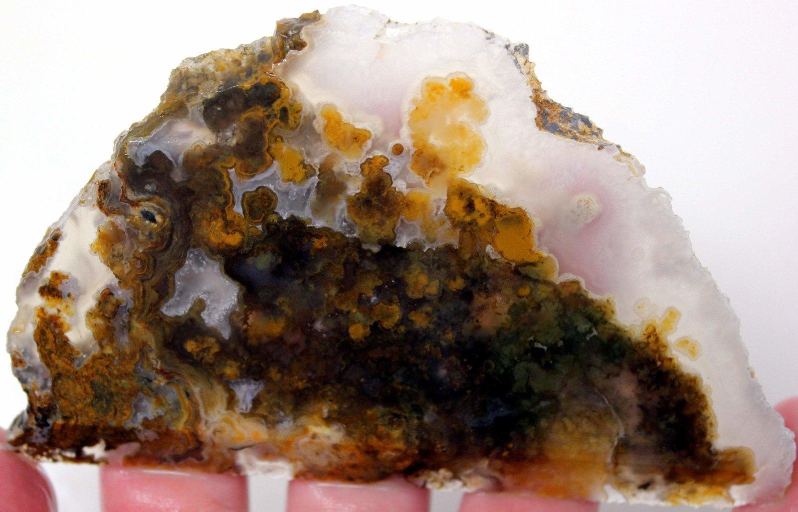 Jumpin' Jeep Plume Agate FANTASTIC OLD STOCK Slab! - LapidaryCentral
