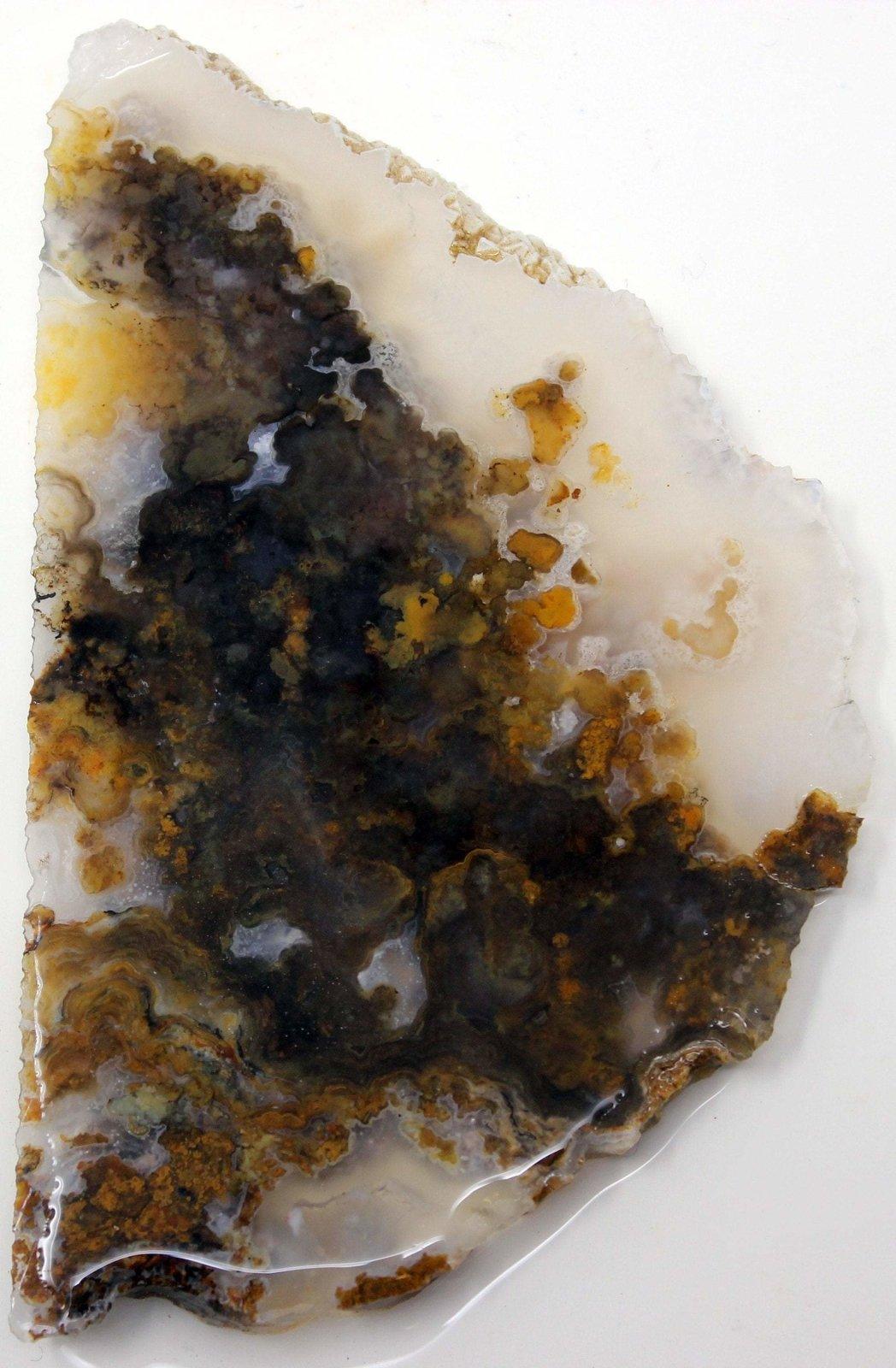 Jumpin' Jeep Plume Agate FANTASTIC OLD STOCK Slab! - LapidaryCentral